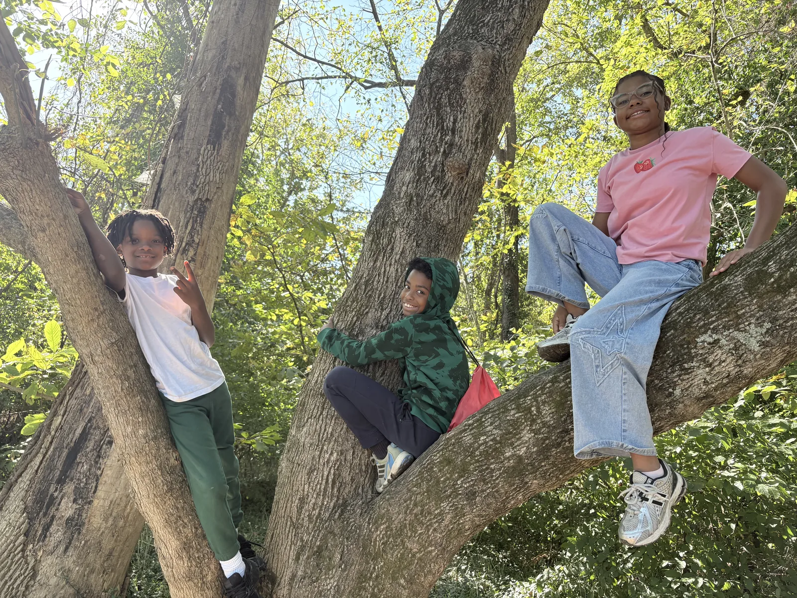Three Laurel students climbing in a large tree